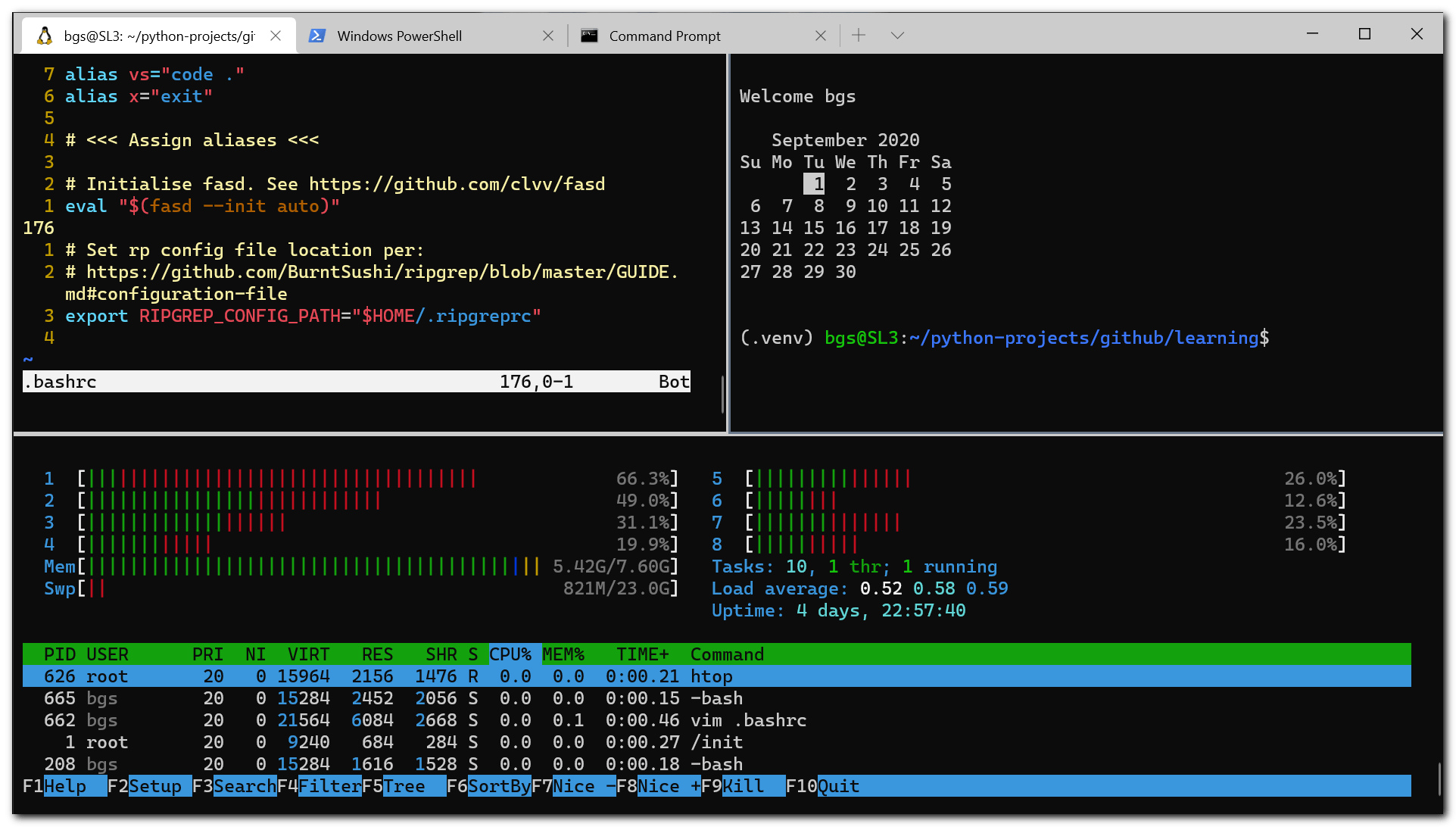 best terminal for wsl
